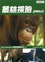 叢林探險
