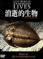 消逝的生物