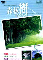 森林樹