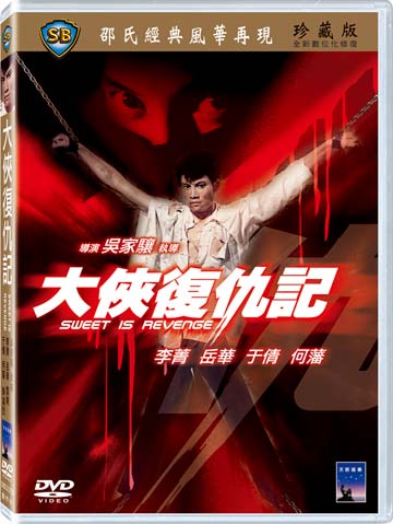大俠復仇記