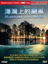 海灣上的颶風