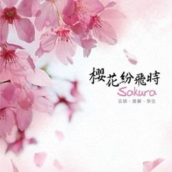 櫻花紛飛時