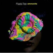 菊石(CD＋DVD)