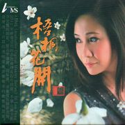 梧桐花開AQMS版