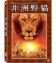 非洲野貓