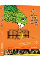 愛情鳥日子