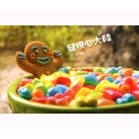 發現心大陸