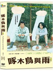 啄木鳥與雨