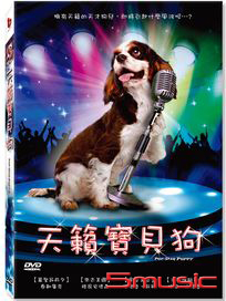 天籟寶貝狗