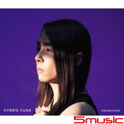 HYBRID FUNK (CD+DVD  Limited Edition A)
