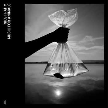 Music for Animals 4 LP
