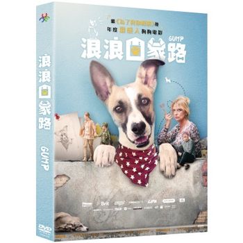 浪浪回家路
