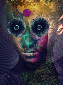The Insulated World(2CD+DVD完全生產限定盤)