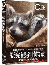 浣熊到你家