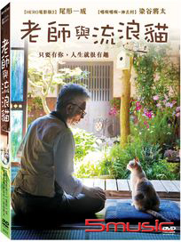 老師與流浪貓