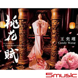 桃花賦CD+DVD