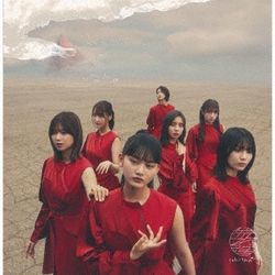 Nagaredama(日本進口B盤)