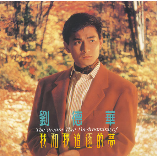 我和我追逐的夢 180g LP