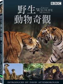 野生動物奇觀