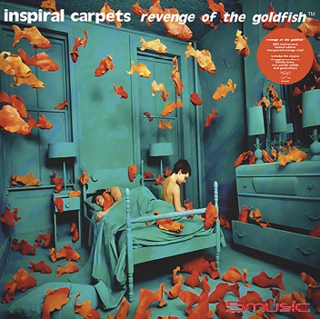 Revenge of the Goldfish 橘色彩膠