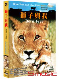 獅子與我