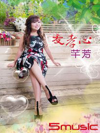 友孝心CD+DVD