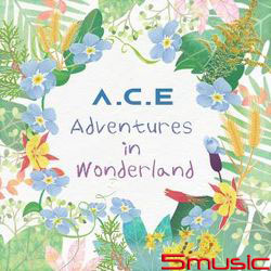 ADVENTURES IN WONDERLAND【台壓盤】