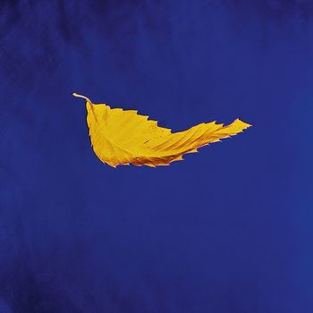真正信仰 (1LP), 一次性生產