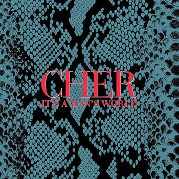男人的世界 (2CD)