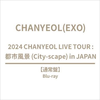 2024 CHANYEOL LIVE TOUR : 都市風景 (City-scape)