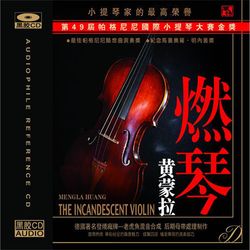 燃琴