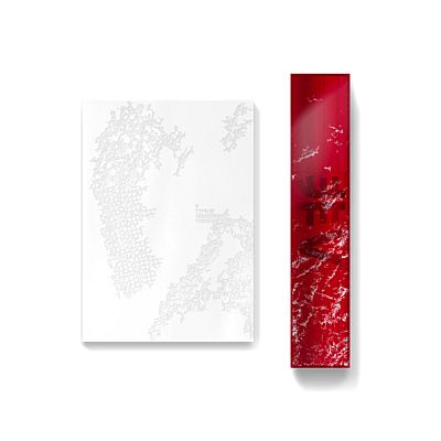 (官網/兩版合購版)[TYPE 非]PHOTOBOOK寫真書(韓國進口版)