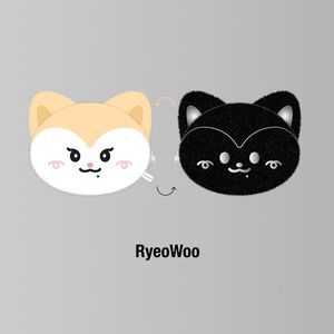 [3RD WORLD TOUR-TUNNEL VISION]-(RyeoWoo)TWINZY雙面收納