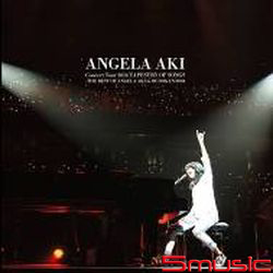 Angela Aki Concert Tour 2014 TAPESTRY OF SONGS-