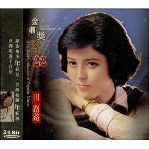 金鼎獎系列 22