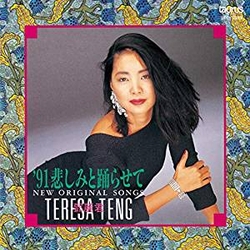 `91與悲傷共舞~NEW ORIGINAL SONGS~(日本進口限定盤)