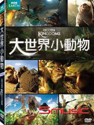 大世界小動物