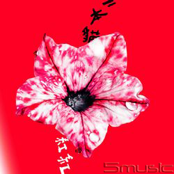 紅紅