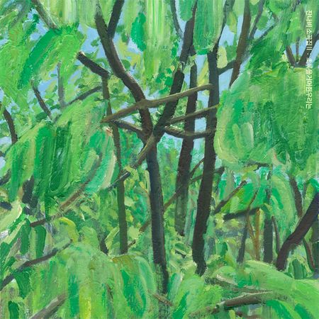 Jannabi`s small pieces ll:Grippin`the green(韓國進口版)