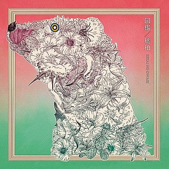 圖鑑/琥珀(通常盤B)
