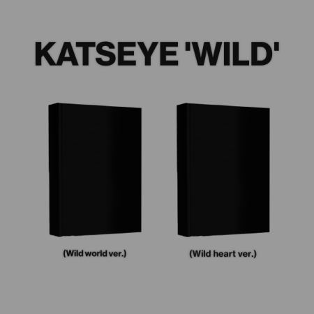(隨機版)WILD(韓國進口版)