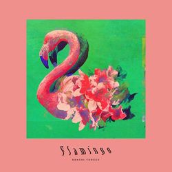 第九張單曲《Flamingo / TEENAGE RIOT》台壓版