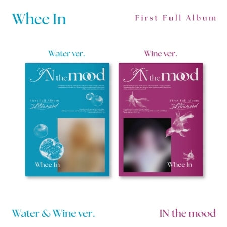 (隨機版)第一張正規專輯「IN the mood (Photobook ver.)」