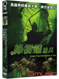 綠樹蟻雄兵