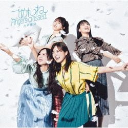 Gomenne Fingers Crossed(日本進口C盤)