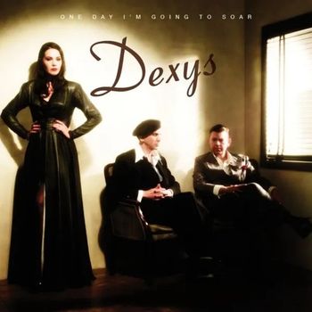 One Day I’m Going to Soar   (2LP)