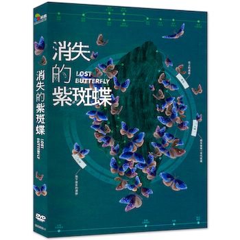 消失的紫斑蝶
