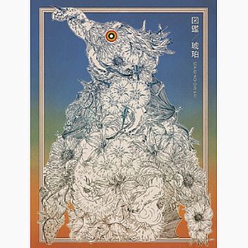 圖鑑/琥珀(初回限定盤B-CD＋DVD)