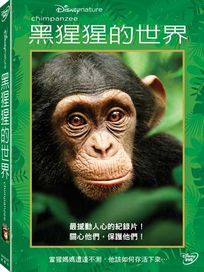 黑猩猩的世界