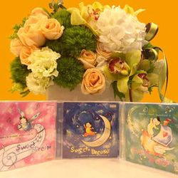 寶寶的第一套古典作品 (3CD)